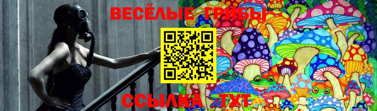 Галлюциногенные грибы GOLDEN TEACHER Кирово-Чепецк